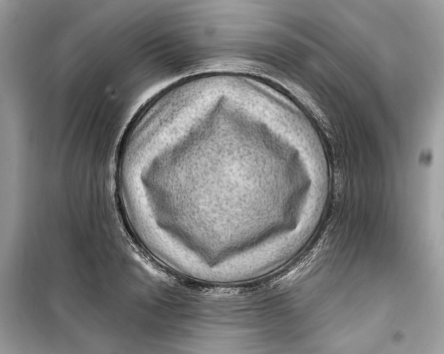 X0000099290846200805231319