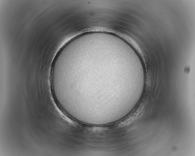 X0000099290847200805231319