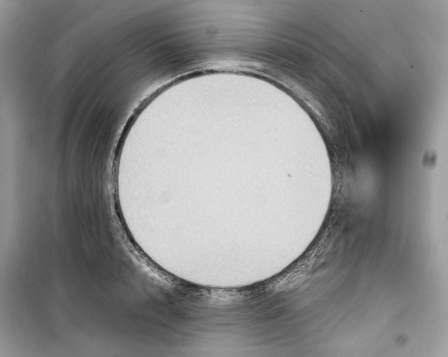 X0000099290848200805231319