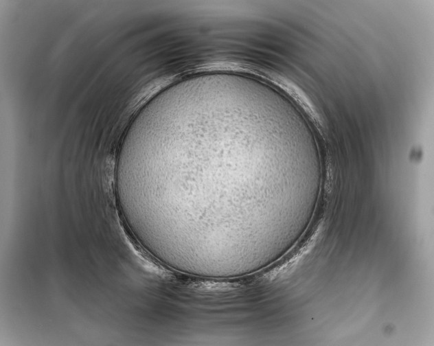 X0000099290849200805231319