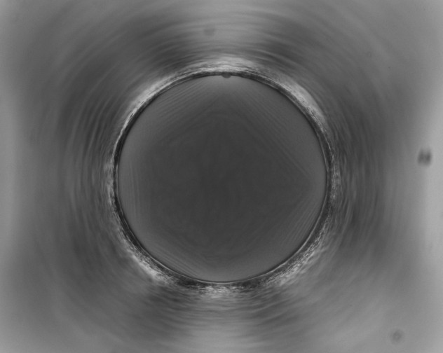 X0000099290850200805231319