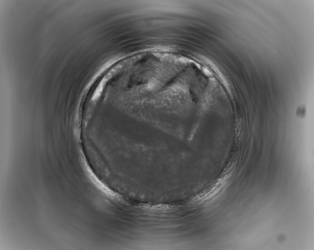 X0000099290851200805231319