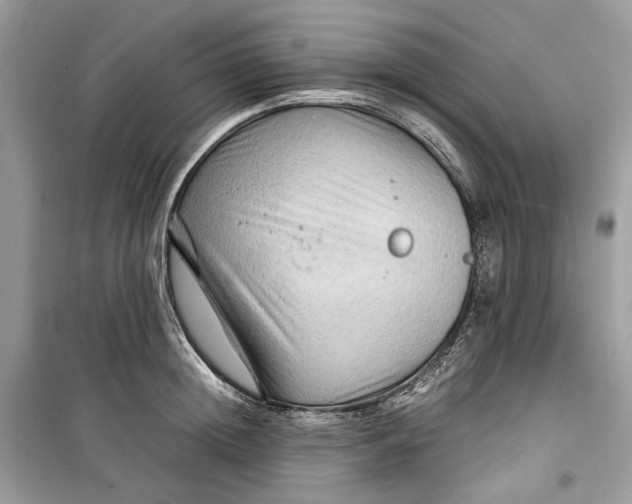 X0000099290852200805231319