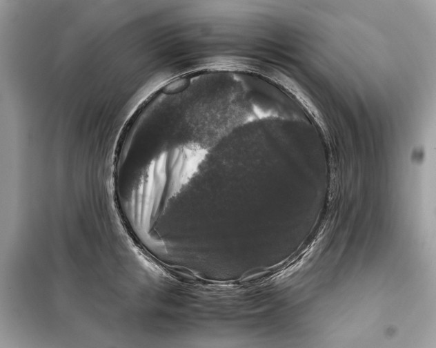 X0000099290853200805231319