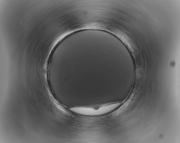 X0000099290854200805231319