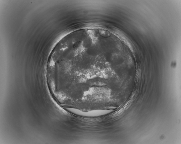 X0000099290855200805231319