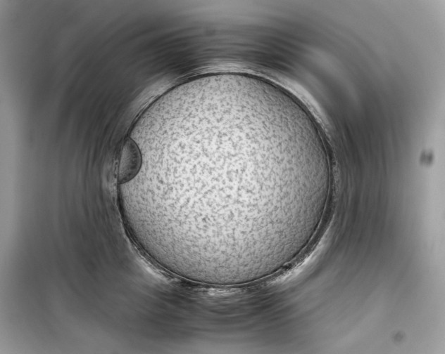 X0000099290857200805231319