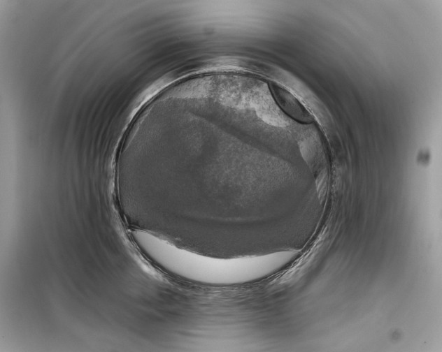 X0000099290858200805231319