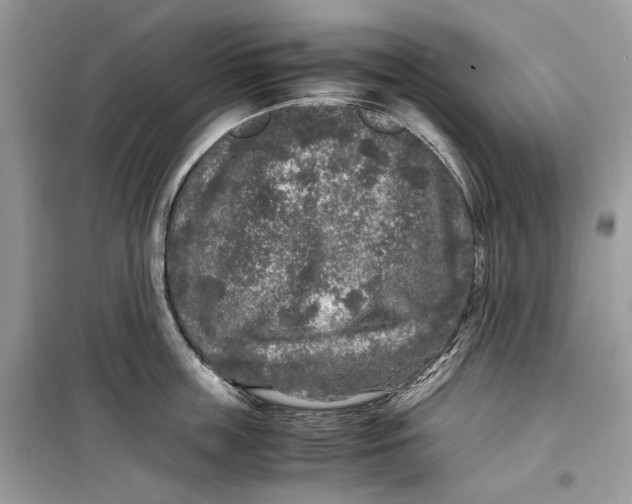 X0000099290859200805231319