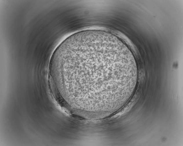 X0000099290860200805231319