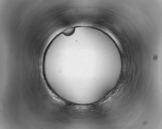 X0000099290861200805231319