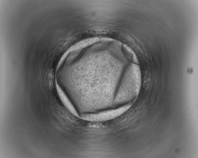 X0000099290866200805231319