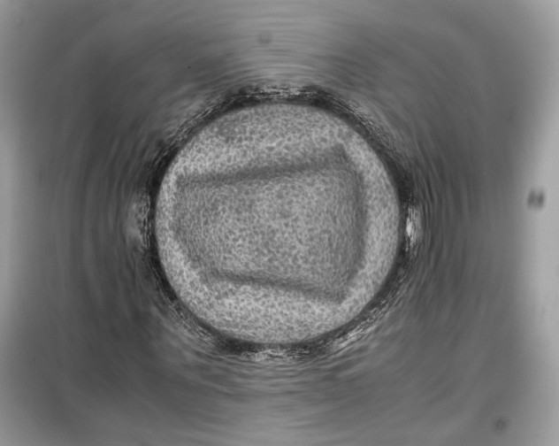 X0000099290867200805231319