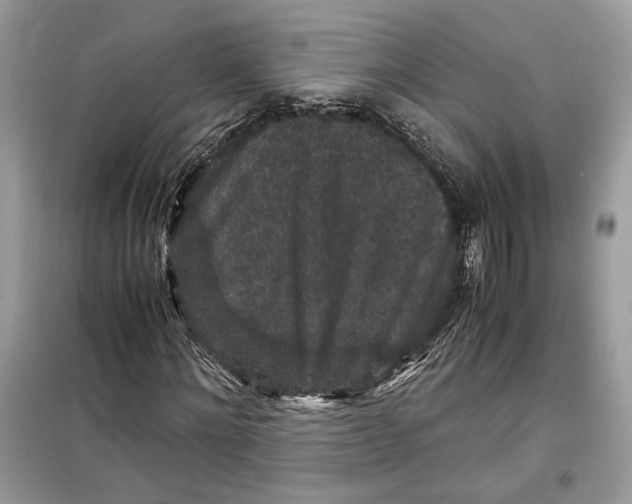 X0000099290868200805231319