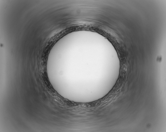 X0000099290869200805231319