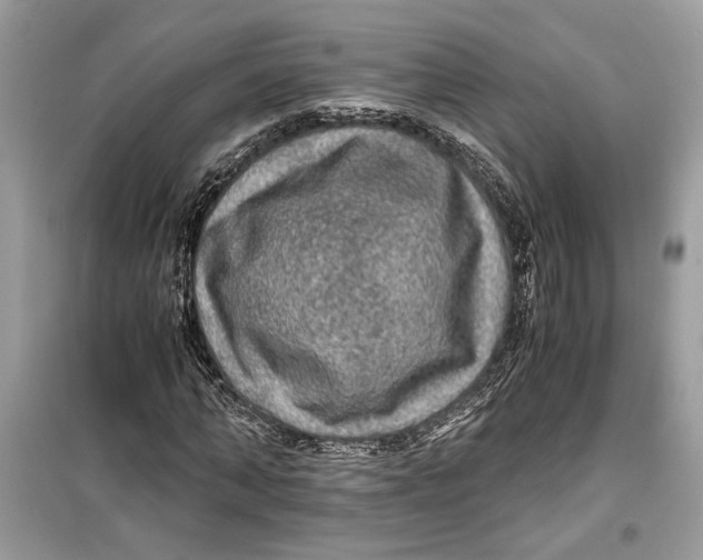 X0000099290870200805231319