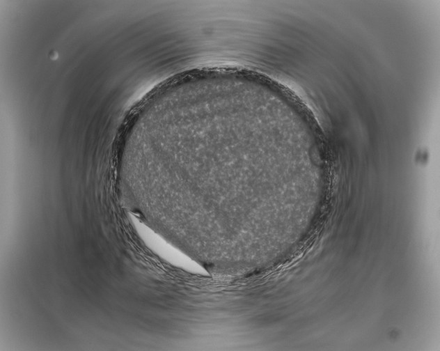 X0000099290871200805231319