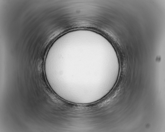 X0000099290873200805231318