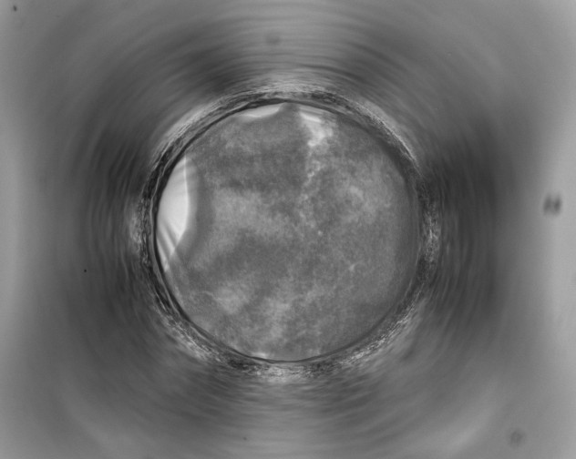 X0000099290874200805231318