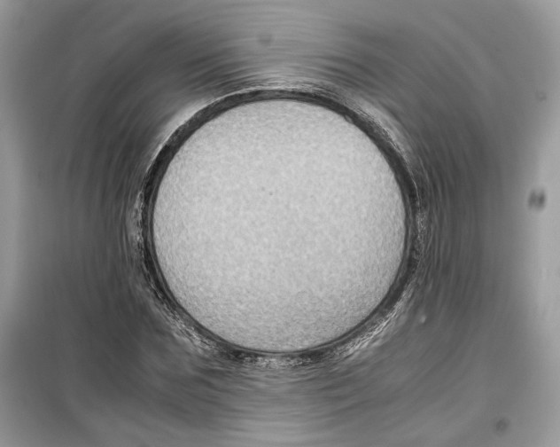 X0000099290875200805231318