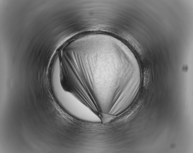 X0000099290876200805231318