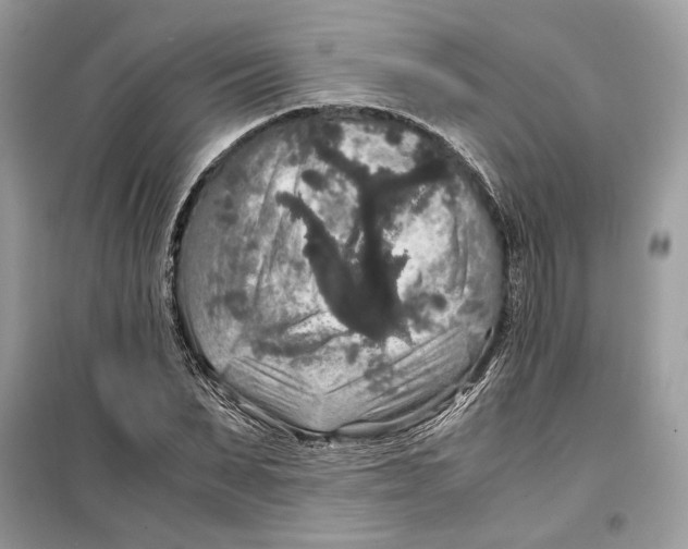 X0000099290879200805231318