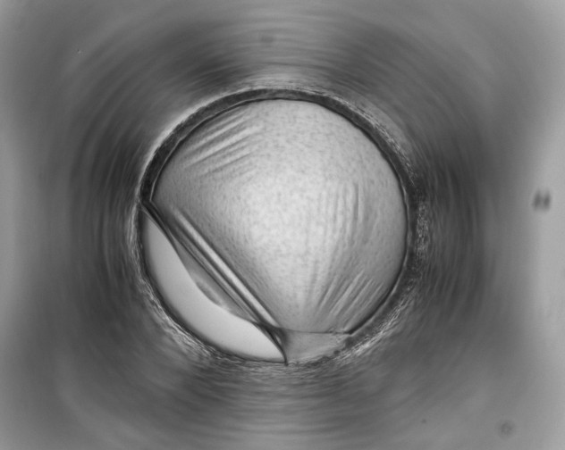 X0000099290880200805231318