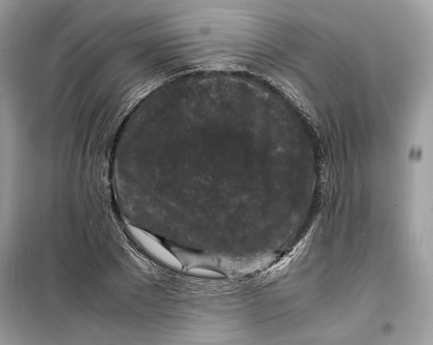 X0000099290881200805231318