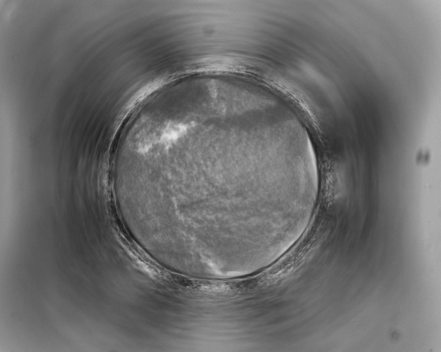 X0000099290882200805231318