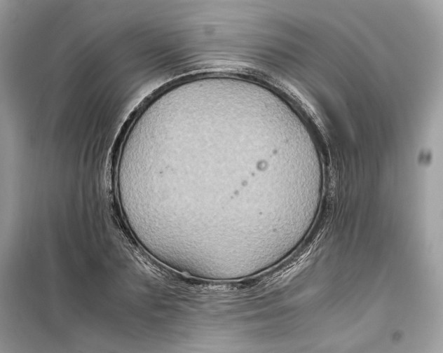 X0000099290883200805231318