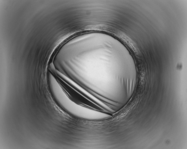 X0000099290884200805231318