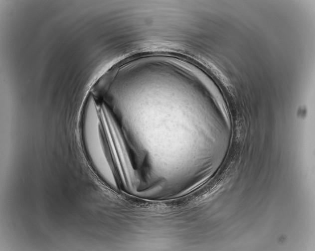 X0000099290885200805231318