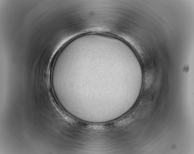 X0000099290886200805231318