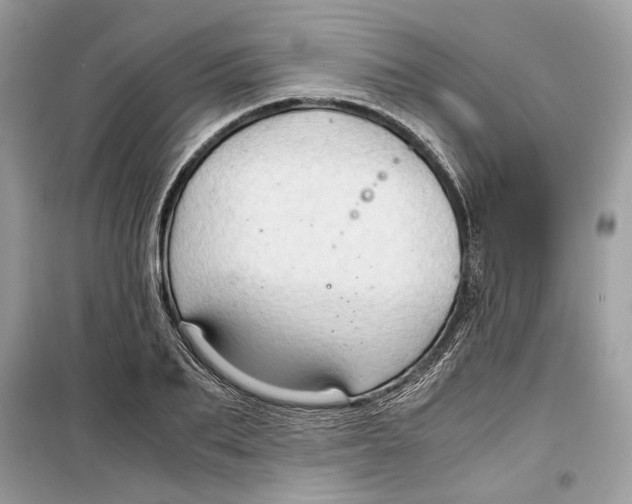 X0000099290887200805231318