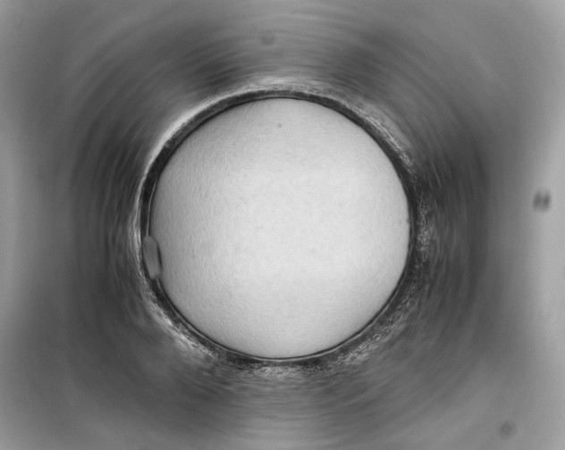 X0000099290888200805231318