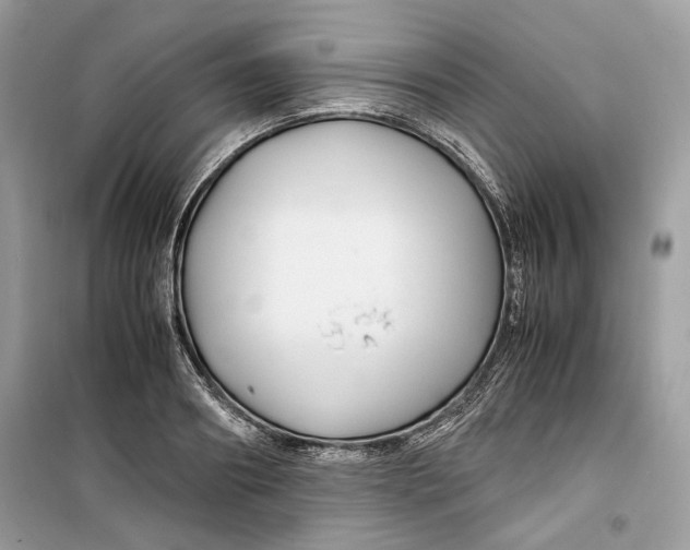 X0000099290890200805231318