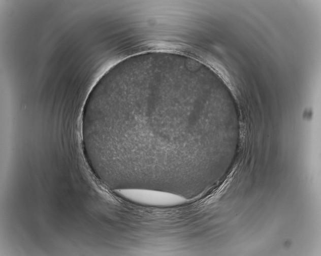 X0000099290891200805231318