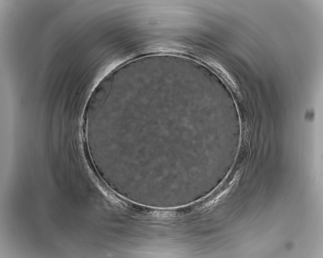 X0000099290893200805231318