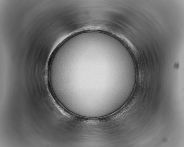 X0000099290894200805231318