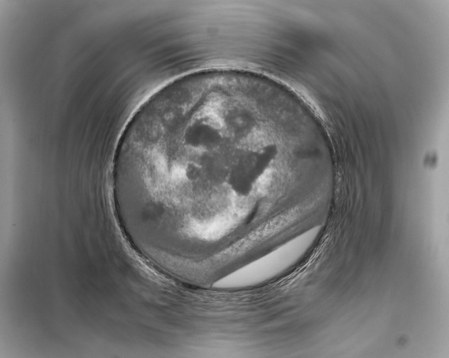 X0000099290895200805231318