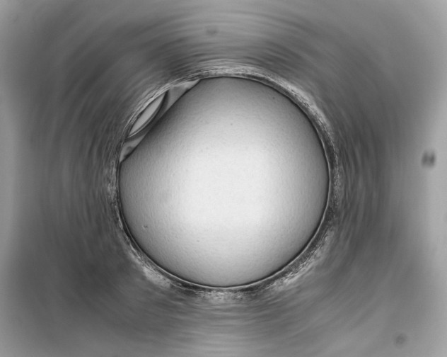 X0000099290897200805231318