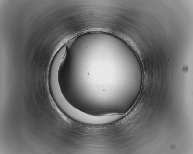 X0000099290898200805231318