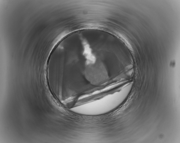 X0000099290899200805231318