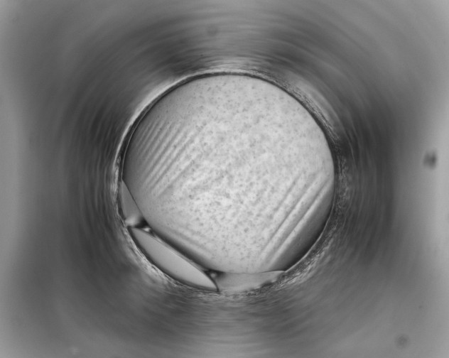 X0000099290900200805231318