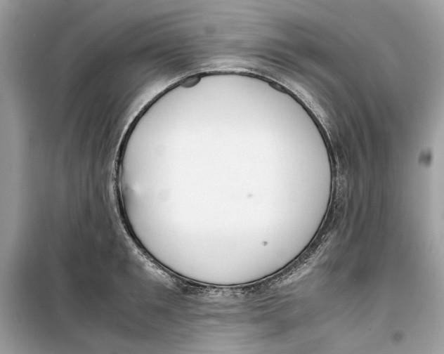 X0000099290901200805231318