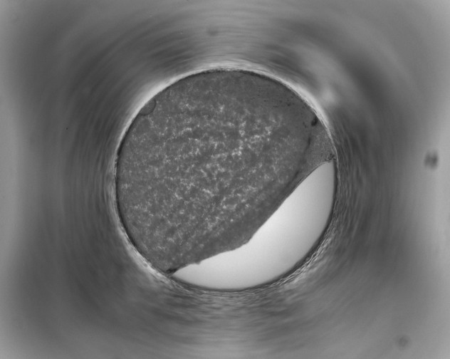 X0000099290903200805231318