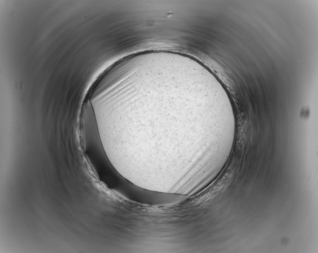 X0000099290904200805231318