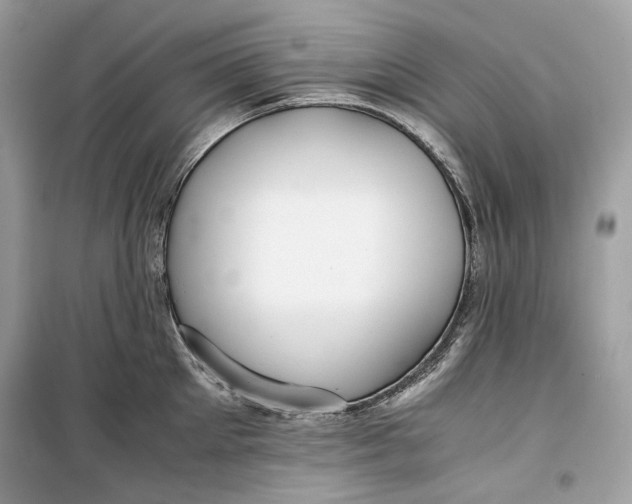 X0000099290905200805231318