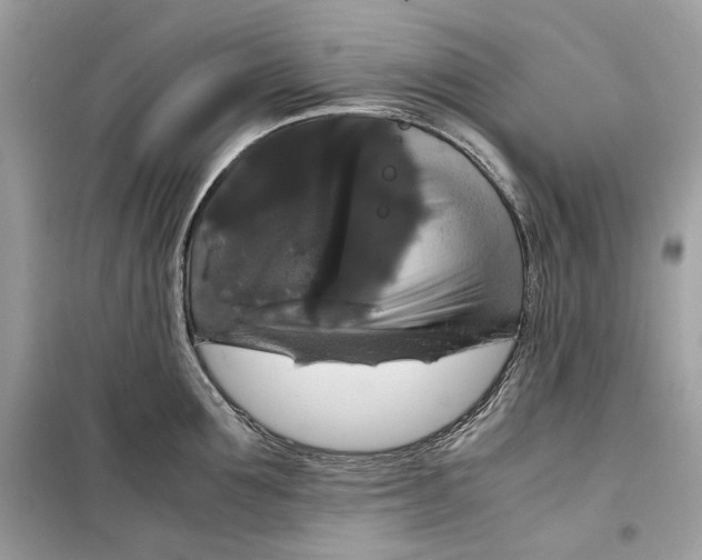 X0000099290907200805231318