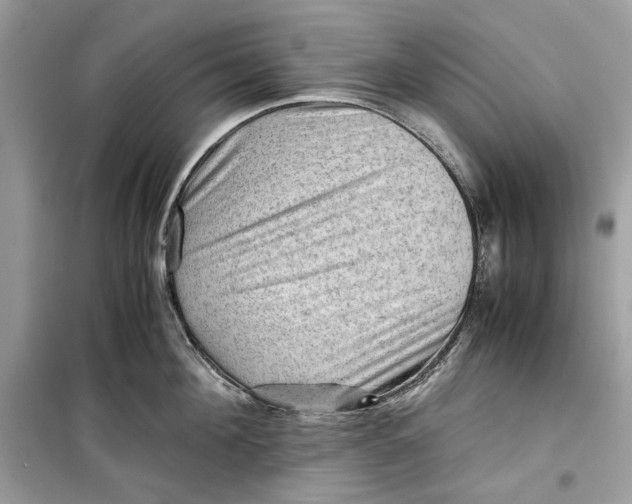 X0000099290908200805231318